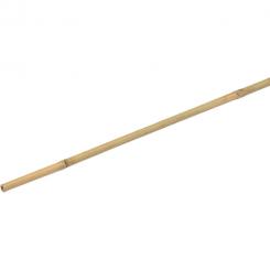 CANA BAMBU 1,800 MM