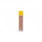 PREBEN CHINCHES Y PULGAS 300 ML.