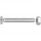TORNILLO CAB. AVE. PH M4X30MM (65)