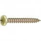 TORNILLO ZN CAB. RED. PZ 5,0X40MM (8)