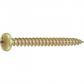 TORNILLO ZN CAB. RED. PZ 5,0X50MM (6)